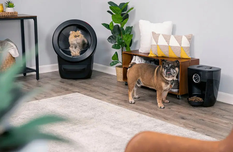 Whisker - Litter-Robot 4 Smart App-Controlled Self-Cleaning Litter Box Core Accessories Bundle